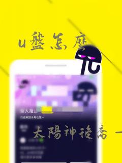 u盘怎么