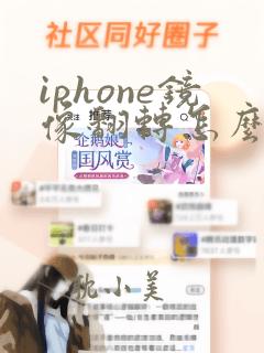 iphone镜像翻转怎么弄