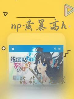 np黄暴高h