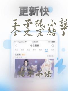 王子枫小说阅读全文完结了吗