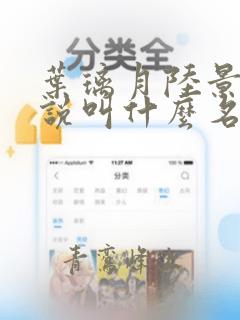 叶璃月陆景琛小说叫什么名字