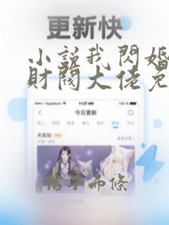 小说我闪婚了个财阀大佬免费阅读全文