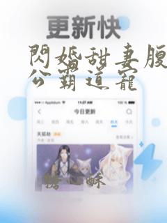 闪婚甜妻腹黑老公霸道宠