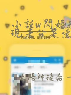 小说w闪婚后发现老公是亿万富豪》