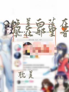 绝美白莲在线教学在那里看