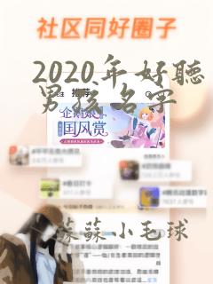 2020年好听男孩名字