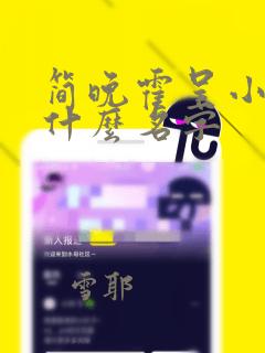 简晚霍呈小说叫什么名字