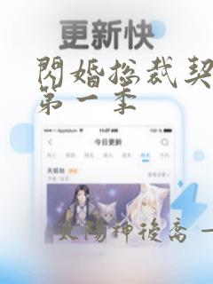 闪婚总裁契约妻第一季