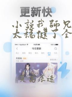 小说我师兄实在太稳健了全文阅读