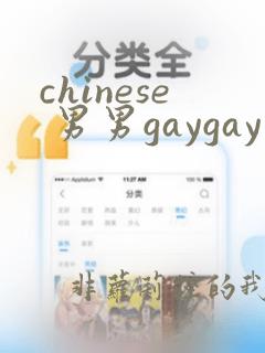 chinese 男男gaygay网站