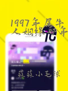 1997年属牛人姻缘哪年出现