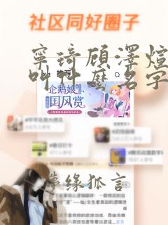 宁琦顾泽煊小说叫什么名字