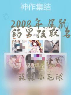 2008年属鼠的男孩取名字