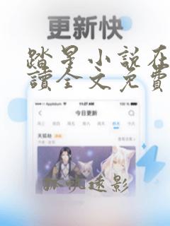 踏星小说在线阅读全文免费