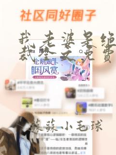 我老婆是绝色总裁全文免费