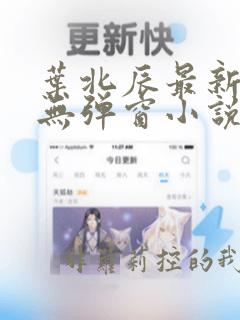 叶北辰最新章节无弹窗小说