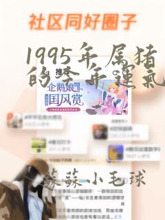 1995年属猪的今年运气怎么样