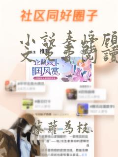 小说秦峥顾九全文免费阅读