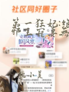 第一狂妃:绝色邪王宠妻无度好看吗