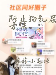 防止狗乱尿的好方法