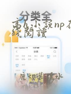 高h小说np在线阅读