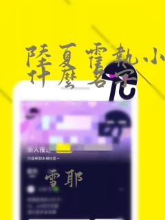 陆夏霍执小说叫什么名字