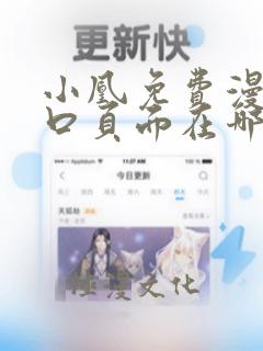 小凰免费漫画入口页面在哪