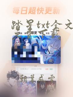 踏星txt全文免费下载