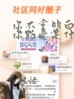 你不会明白我对你的爱是什么歌