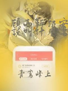 顾西靳祁安的小说叫什么名字