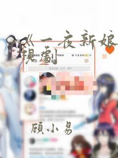 《一夜新娘》电视剧