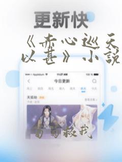 《赤心巡天情何以甚》小说阅读