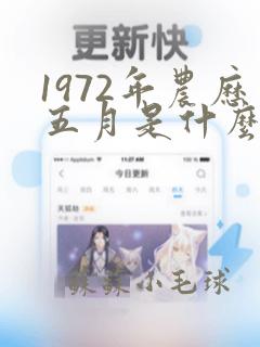 1972年农历五月是什么命