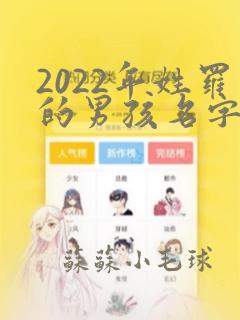 2022年姓罗的男孩名字