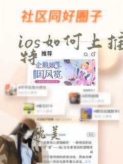 ios如何上推特