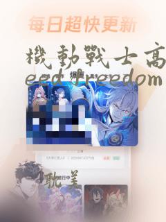 机动战士高达seed freedom在线看