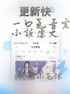 一口气看完推文小说虐文