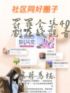 罚罪全集40集剧在线观看