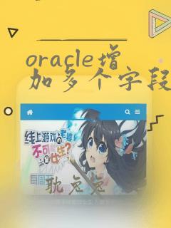 oracle增加多个字段