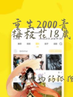 重生2000青梅校花18岁奋斗老九