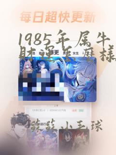 1985年属牛财运怎么样