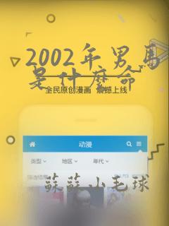 2002年男马是什么命