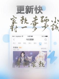 家教老师小学一对一多少钱一小时