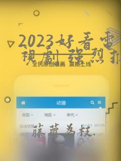 2023好看电视剧 强烈推荐