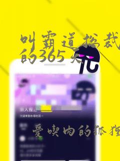 叫霸道总裁和我的365天