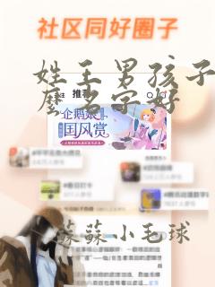 姓王男孩子取什么名字好