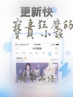 宠妻狂魔的黏人宝贝 小说