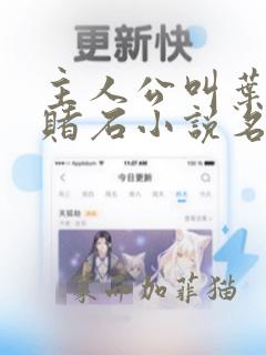 主人公叫叶青的赌石小说名字