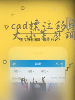 cad标注的字大小怎么调