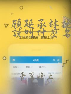 顾延承林挽音小说叫什么名字